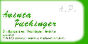 aminta puchinger business card